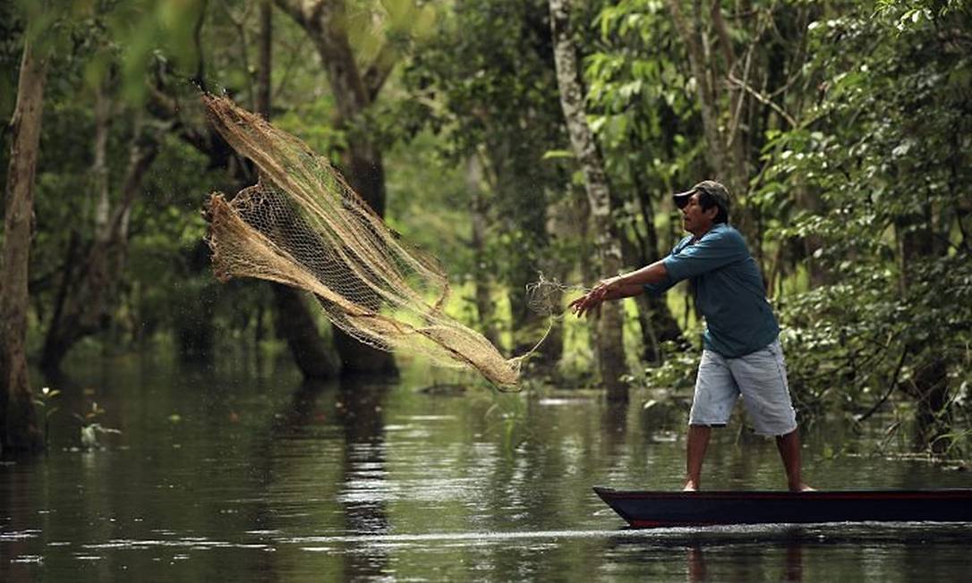 Novo Código Florestal ameaça abandonadar áreas úmidas e florestas alagadas do Brasil. Foto: Latinstock