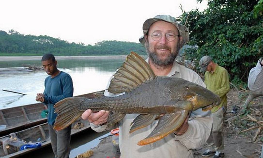 Como Se Diz Peixe Em Inglês