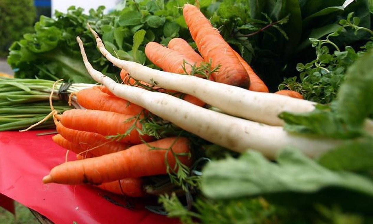 Dieta à base de vegetais pode ajudar a evitar o diabetes tipo 2