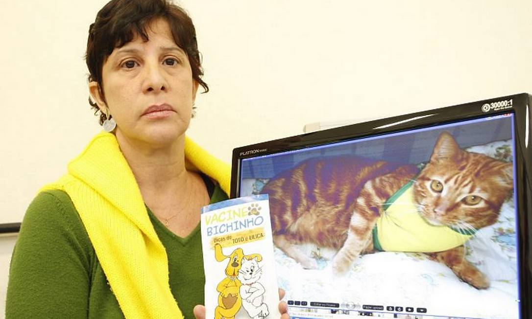 O gato de Eliane Vani morreu depois de tomar a vacina antirrábica na última campanha. Foto de Simone Marinho Agência O Globo