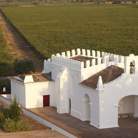 Restaurante Fialho, em Évora, tem carta de vinhos a preços 