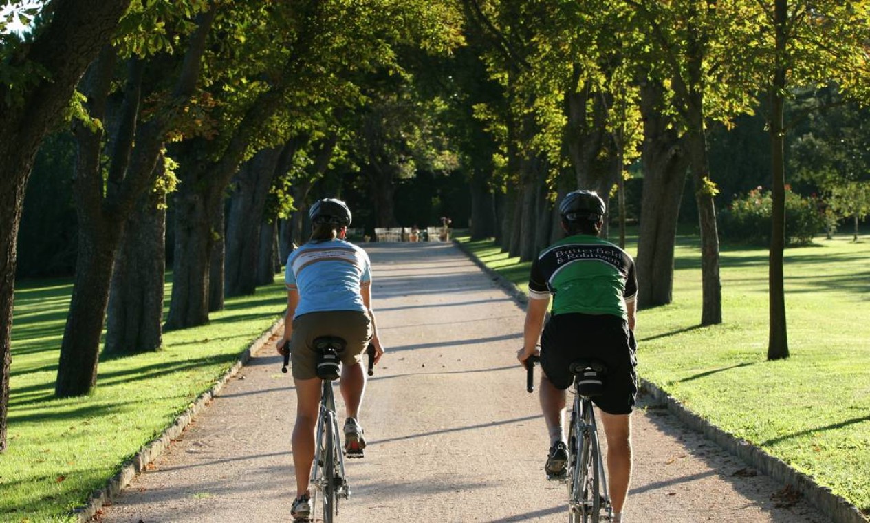 Andar de bicicleta pode fazer mal à saúde sexual - Jornal O Globo