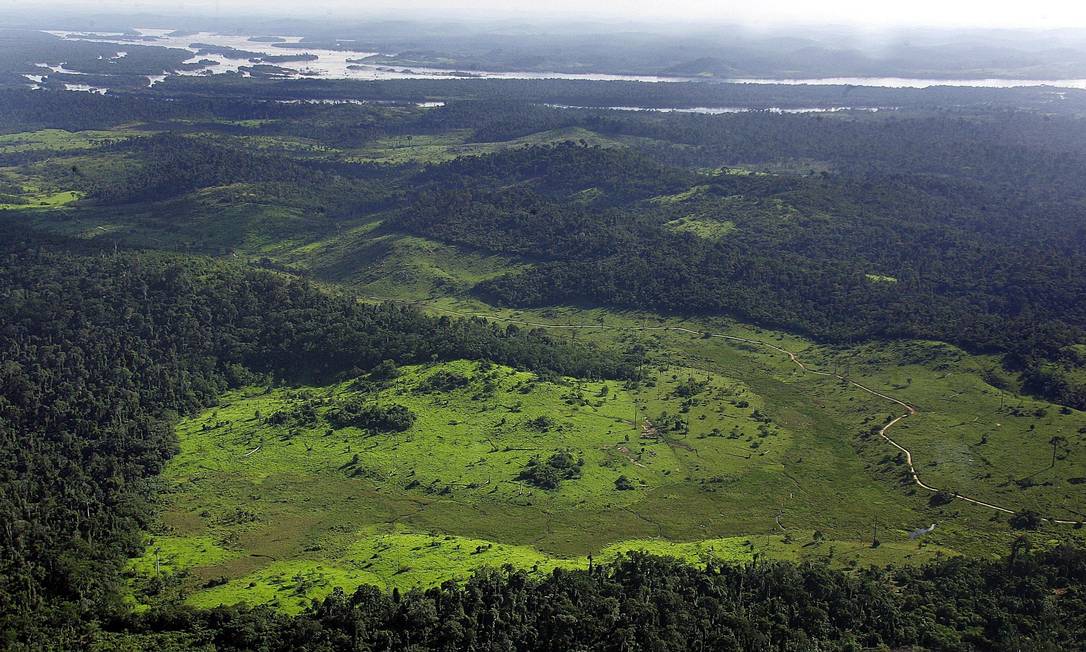 
Região desmatada convertida em savana no meio da floresta
Foto: Antonio Scorza/AFP
