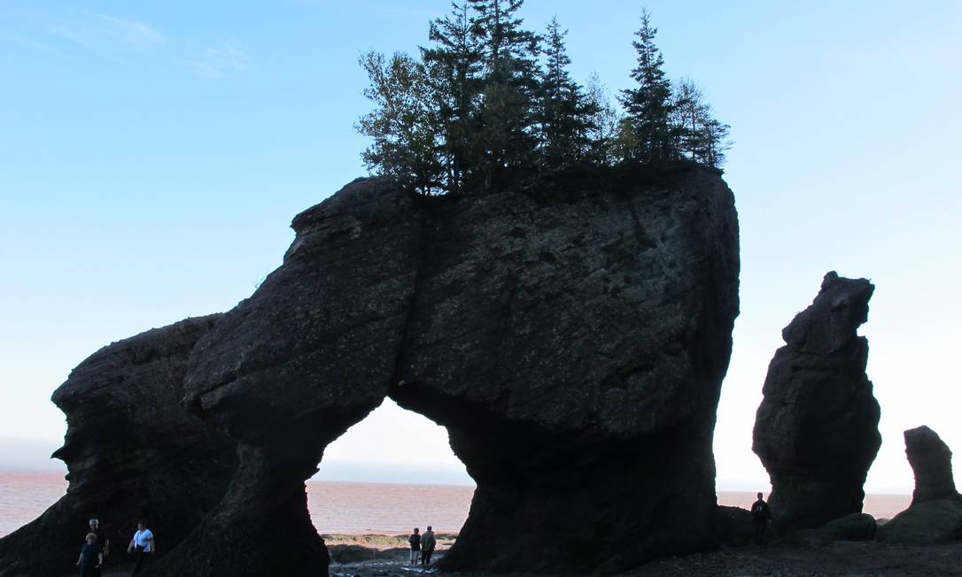 Fundo Grande Rio De Salmões Em Fundy Trail Parkway Grande Trilha