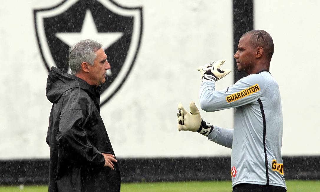 Botafogo Muito Desfalcado Para Enfrentar O Vitória Em Salvador - Jornal ...