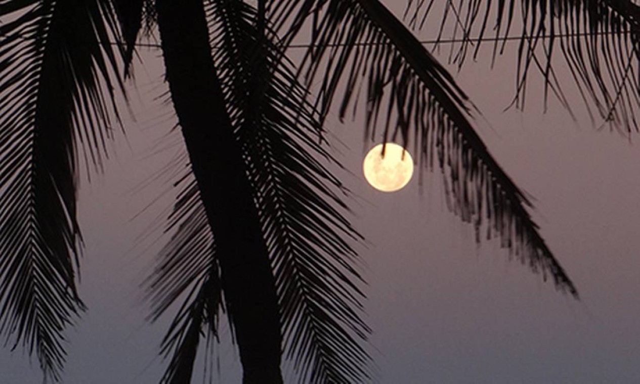 Lua cheia surge entre os coqueiros em Ipanema Foto: Foto do leitor José Conde / Eu-Repórter