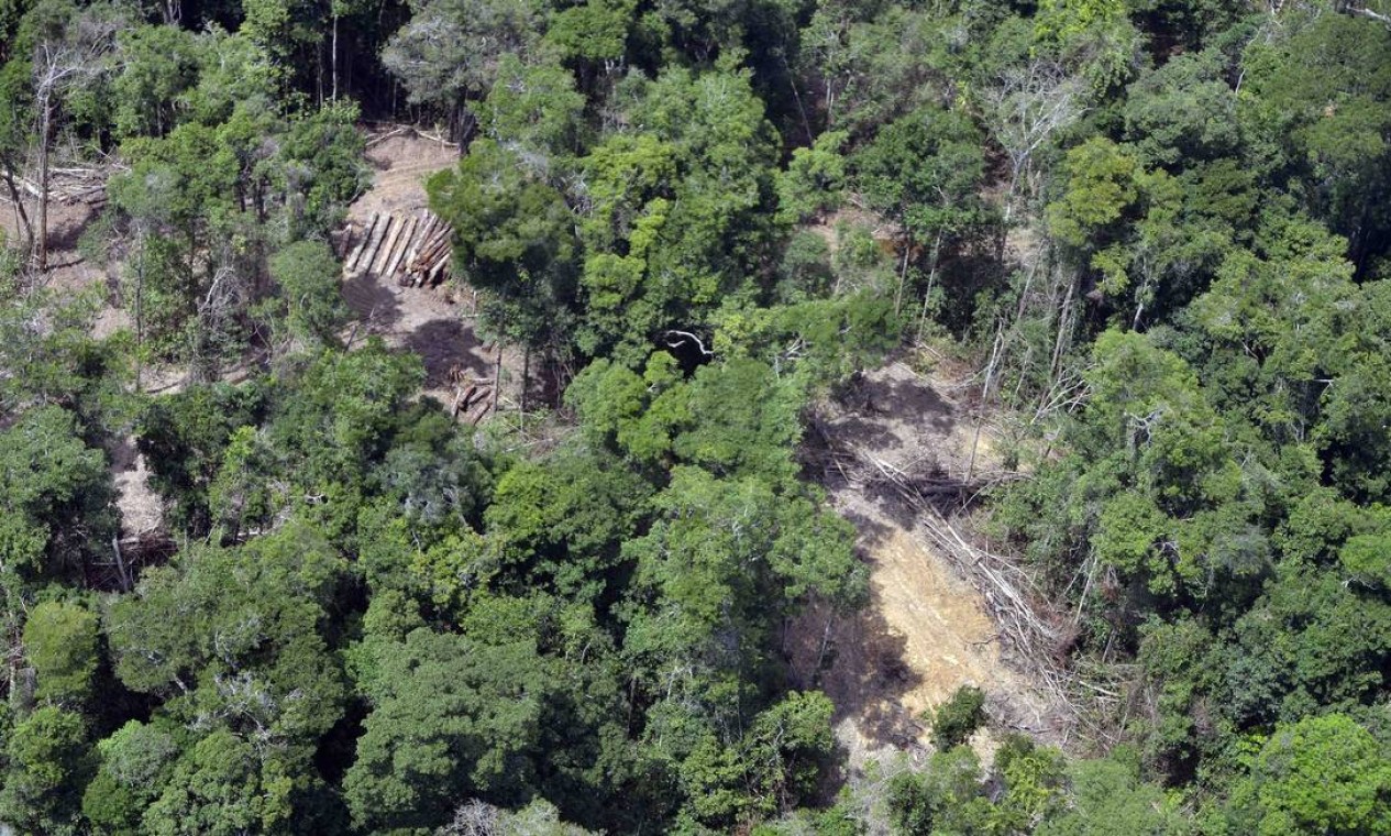 Clareira aberta por desmatamento na Reserva Biológica do Gurupi (MA) Foto: Greenpeace / Ismar Ingber