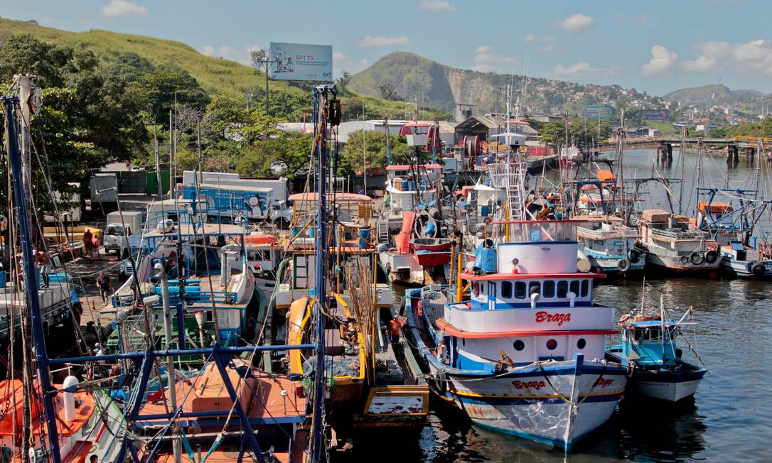 ENGARRAFAMENTO DE embarcações na Ilha da Conceição: antiga fábrica de sardinha funciona provisoriamente como terminal pesqueiro há 20 anos