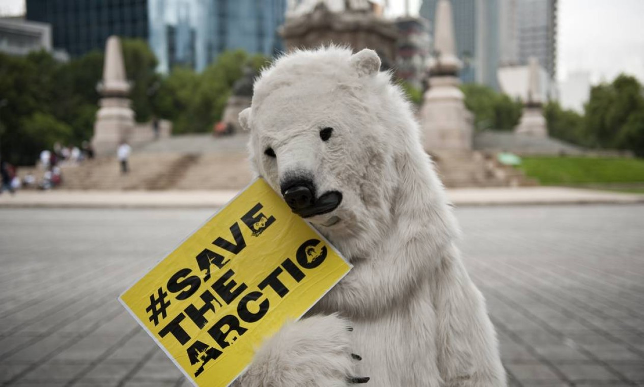 Ativista vestido de urso polar na Cidade do México Foto: AFP / Ronaldo Schemidt