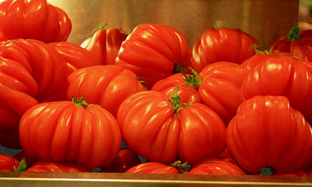 
A melhor época para comprar tomate é de julho a outubro
Foto: Divulgação