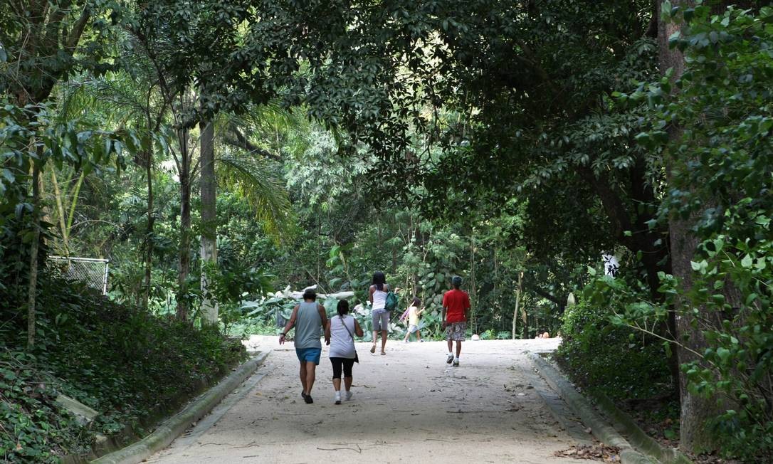 Horto do Fonseca, em Niterói, pode virar um jardim ...