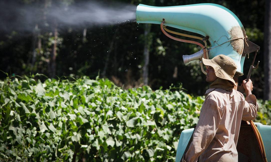 Agrotóxicos proibidos continuam em uso nas lavouras brasileiras