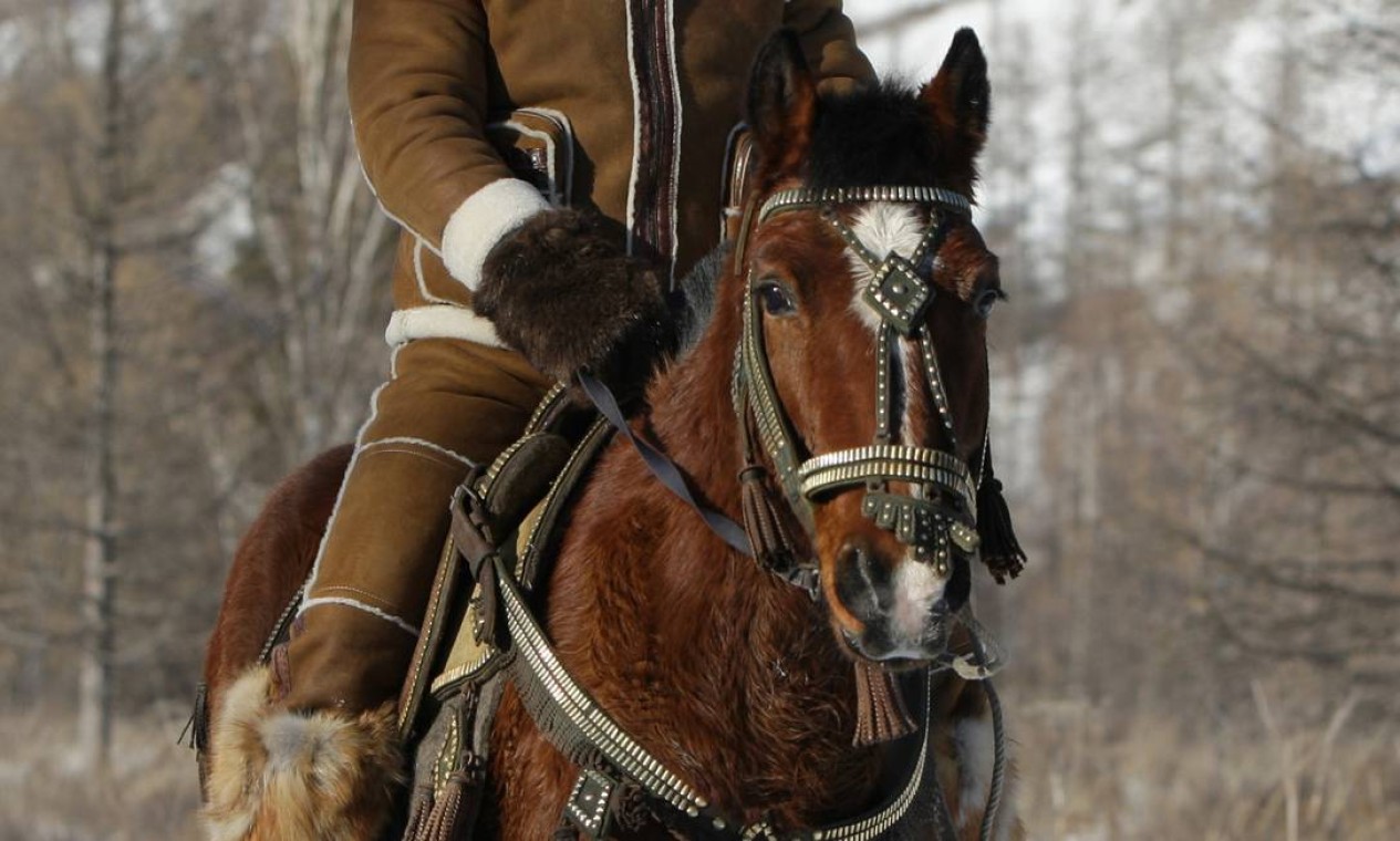 Cavalo De Vladimir Putin cavalo-de-vladimir-putin