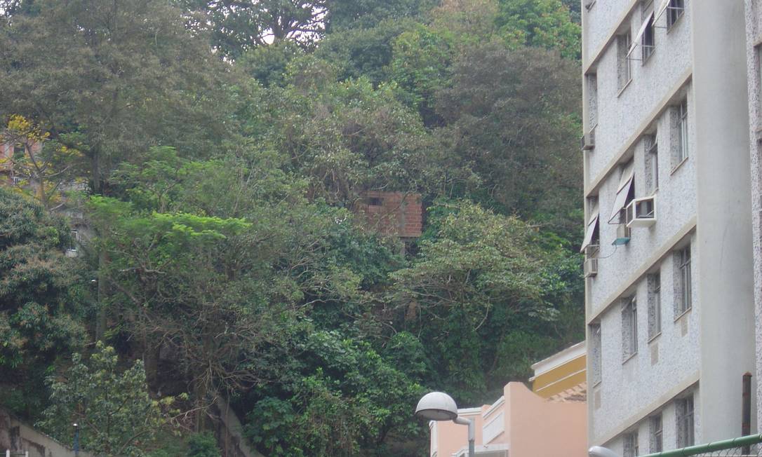 
Da Rua Siqueira Campos é possível avistar casa sendo erguida em meio à mata
Foto: Foto de leitor / Eu-Repórter