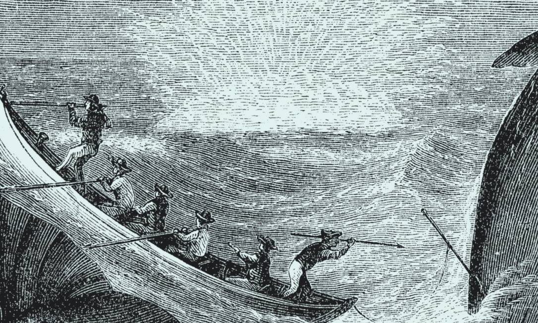 
Ilustração do livro Moby Dick
Foto: Reprodução