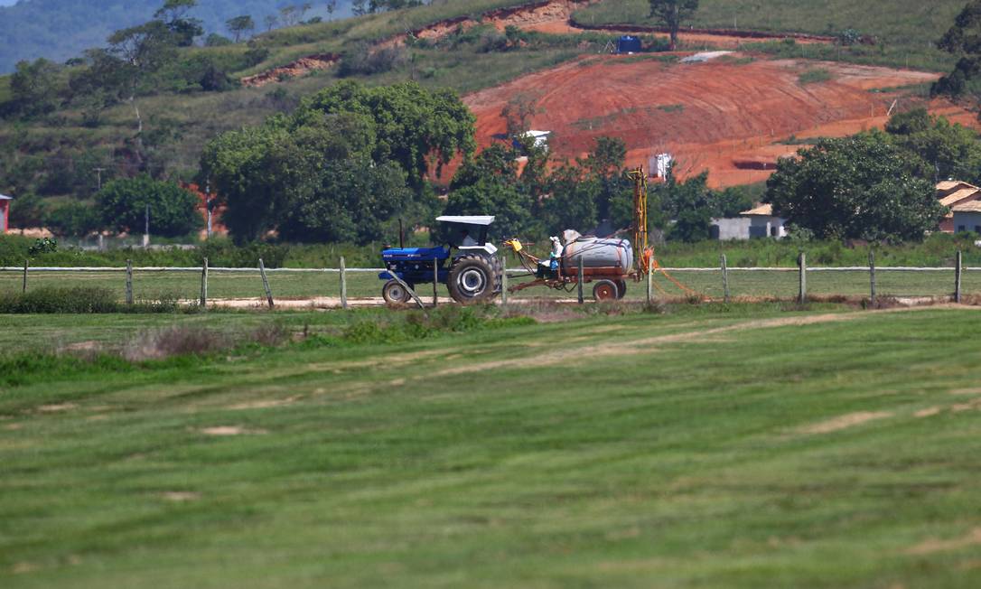 
A grama sendo cultivada no distrito de Sampaio Corrêa, em Saquarema
Foto: Jorge William / O Globo