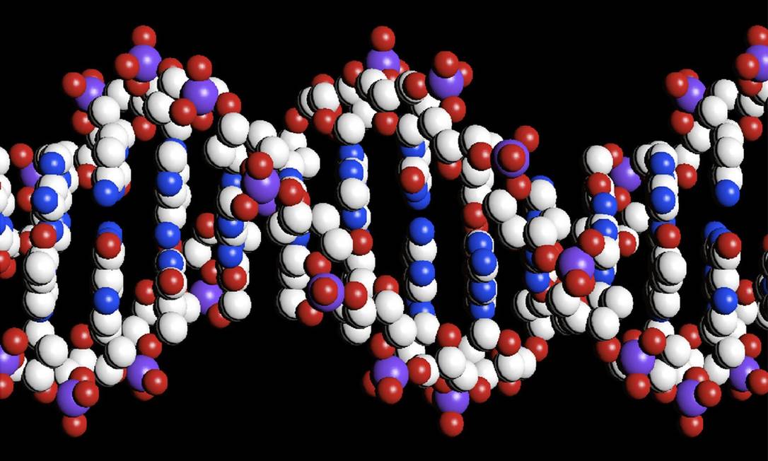 
Ilustração de computador mostra a estrutura de dupla hélice do DNA: pesquisa mostra que sistema também pode ser usado para armazenar informações digitais
Foto: The Wellcome Trust/REUTERS