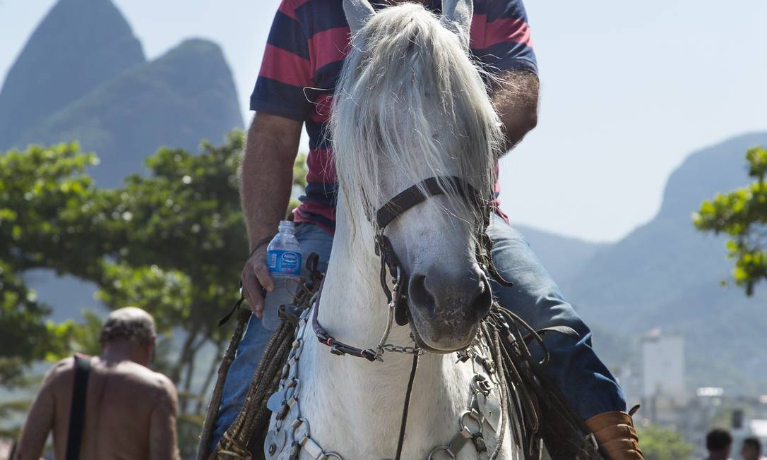 Empresário de Xerém leva animal para dar uma volta na orla do Rio - Jornal  O Globo