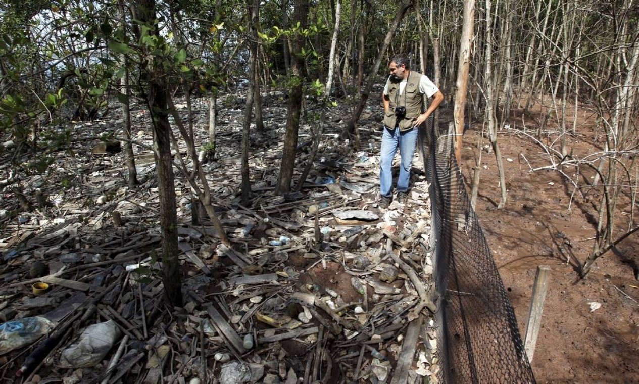 O biólogo já retirou uma tonelada e meia de resíduos em 150 metros quadrados de área de mangue: ‘Rios são vias de transporte de lixo. É um volume inacreditável’ Foto: Custódio Coimbra / O Globo