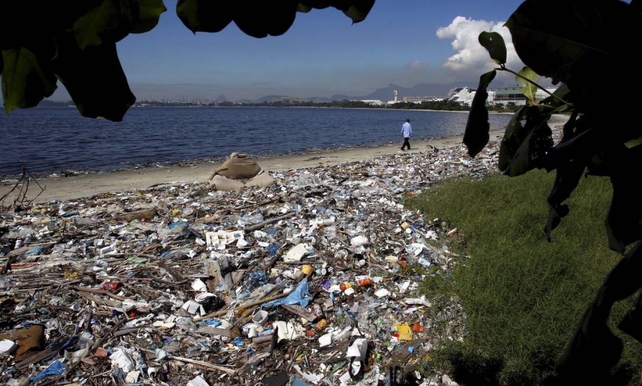 Antigos manguezais da Ilha do Fundão sofrem com o acúmulo de lixo Foto: Custódio Coimbra / O Globo