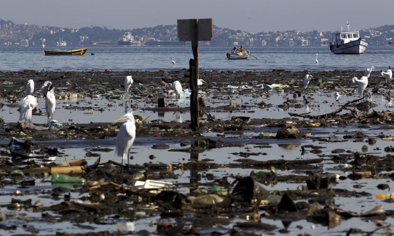 ... e reflete a falta de avanços no processo de despoluição da Baía. Promotora cobra ações concretas Foto: Custódio Coimbra / O Globo