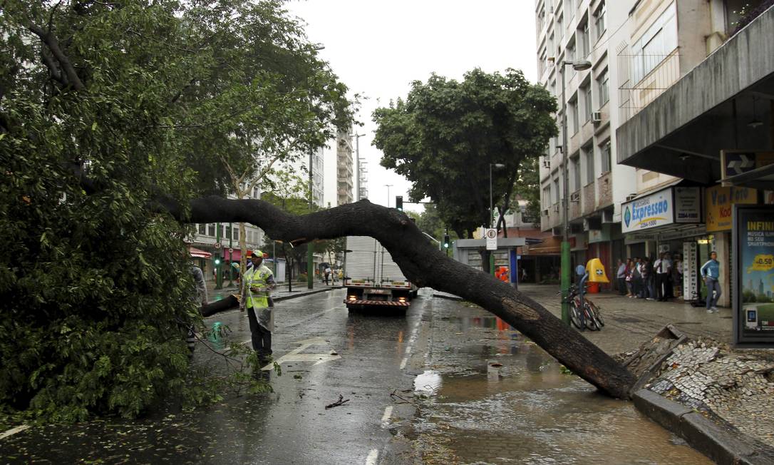 Árvore cai na Avenida 28 de Setembro, em Vila Isabel, e fecha três pistas da via Foto: Gabriel de Paiva / Agência O Globo