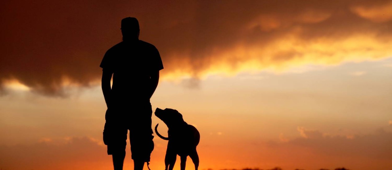 Convívio entre homens e cães criou semelhanças genéticas - Jornal O Globo