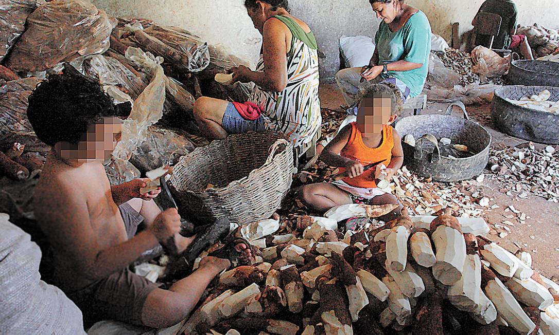 
Insalubre e perigoso. Trabalhadores menores em casa de farinha em Pernambuco: exposição a pó, barulho de motores e calor do forno
Foto: Hans von Manteuffel