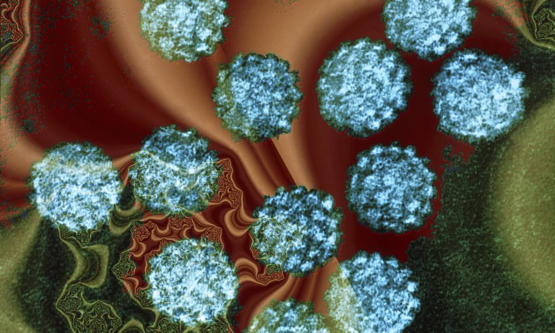 
Ilustração do vírus HPV: meninas entre 10 e 11 anos terão acesso às três doses da vacina contra a papilomavírus
Foto: Latinstock