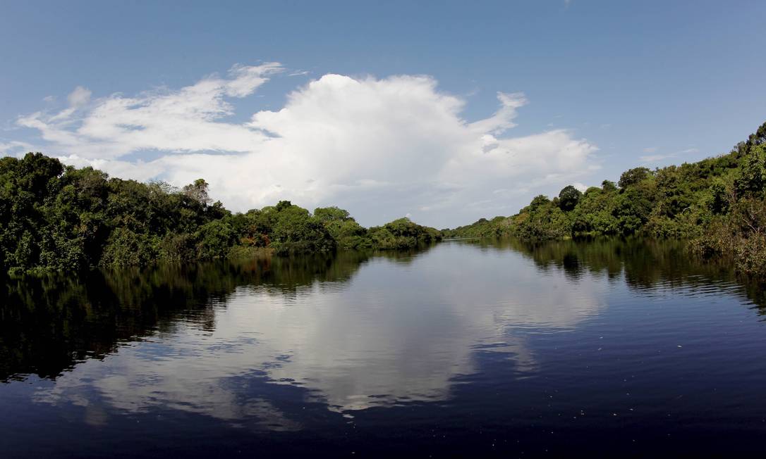 
Formado por 400 ilhas no rio Negro, Anavilhanas, na Amazônia, é o segundo maior arquipélago fluvial do mundo e foi aberto a visitantes em 2008
Foto: Marcelo Piu