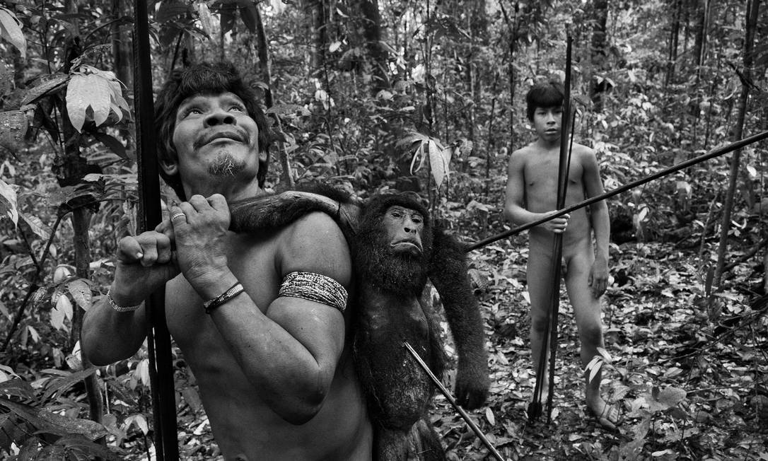 
Exímios caçadores, os Awá sobem em árvores de mais de 30 metros de altura para flechar seus alvos
Foto: © Sebastião Salgado/Amazonas Images / O Globo
