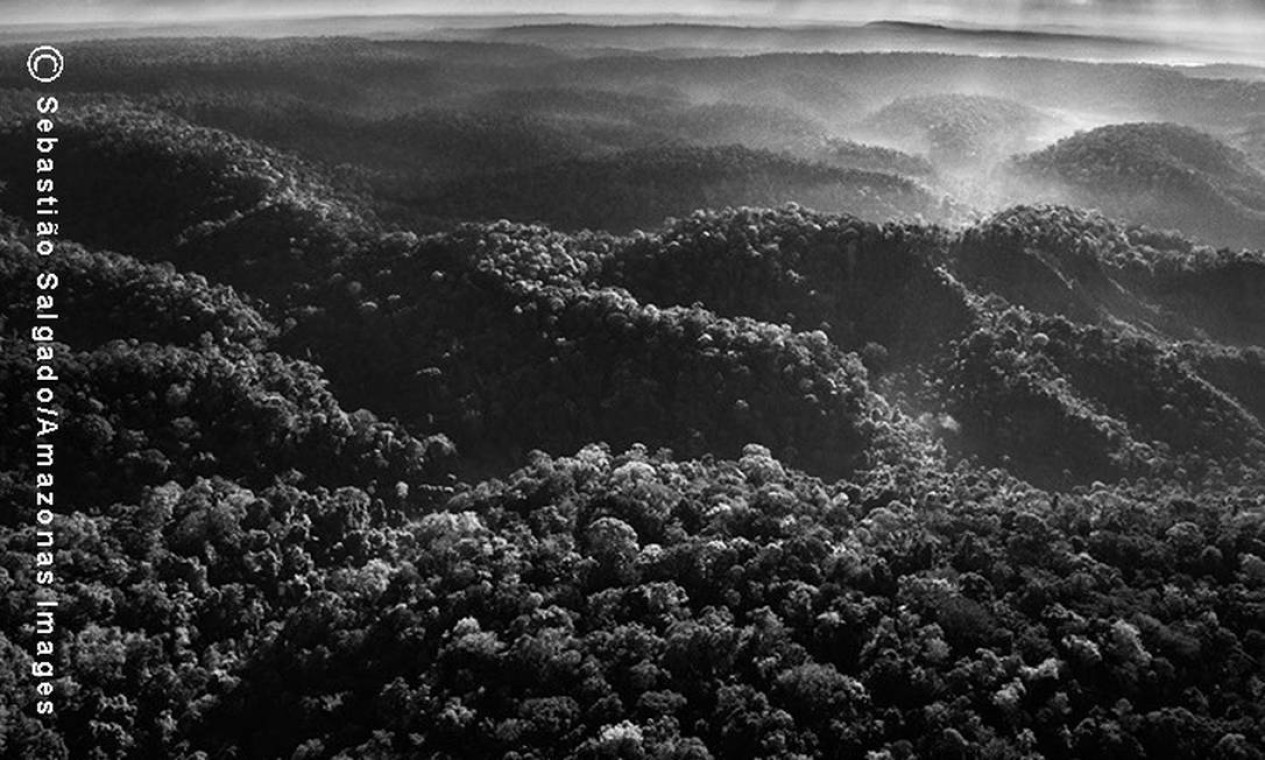 Vista aérea da floresta amazônica, onde o território Awá está localizado. Mesmo com todas as decisões judiciais, ele tem sido desmatado pelos madeireiros e ainda é ocupado por posseiros e grileiros