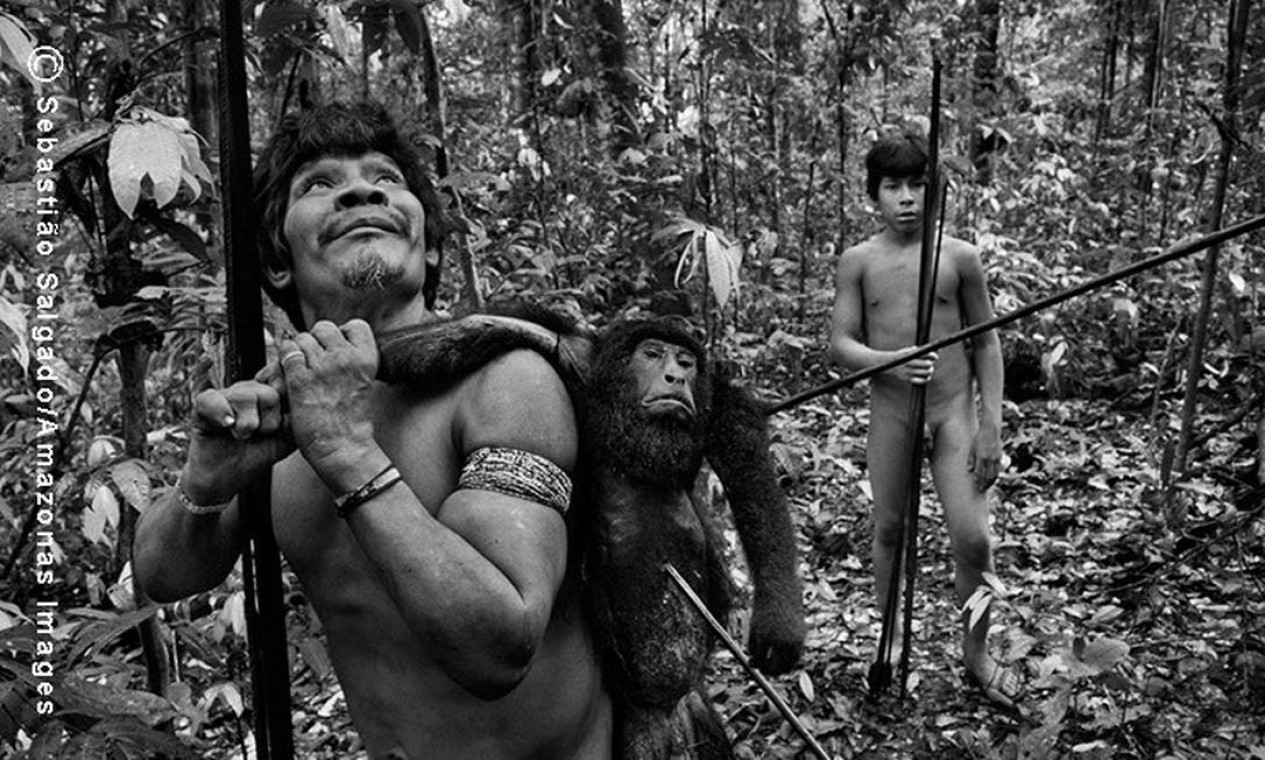 O índio Txiparamatxa´a carrega um macaco saquê preto, após flechá-lo duas vezes sobre as árvores, numa altura de mais de 30 metros Foto: Sebastião Salgado/ Amazonas Images