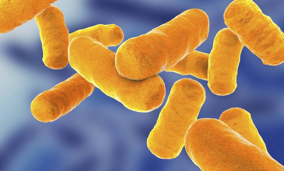 
Ilustração mostra bactéria causadora da tuberculose a ‘Mycobacterium tuberculosis’
Foto: Terceiro / Latinstock