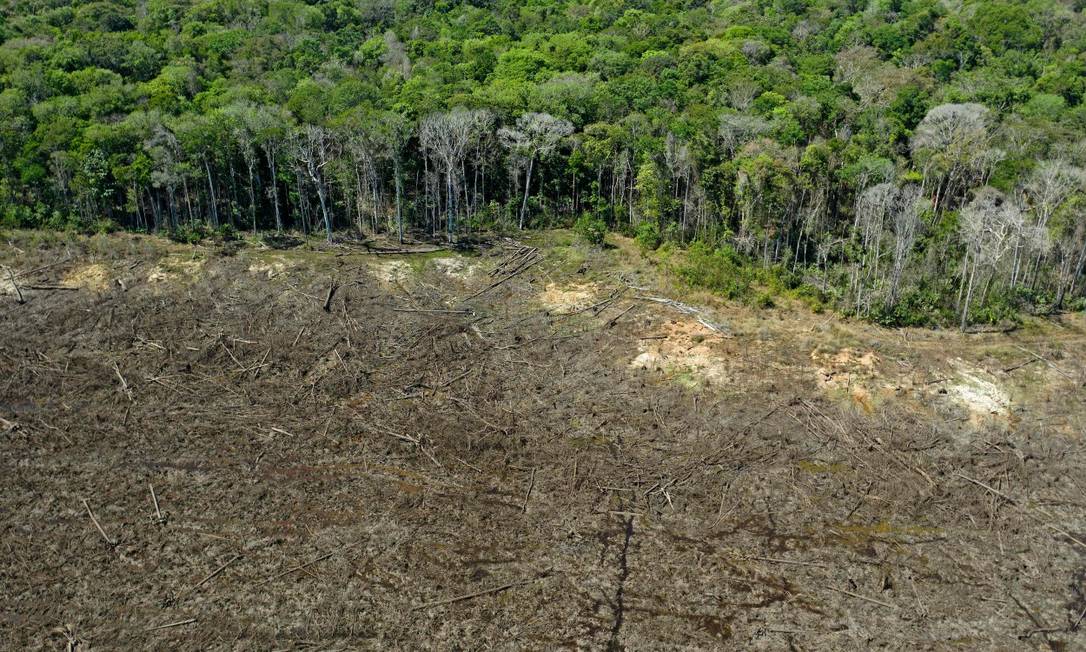 Foto aérea de zona florestal devastada perto de Sinop, no Mato Grosso Foto: FLORIAN PLAUCHEUR / AFP 7-8-21