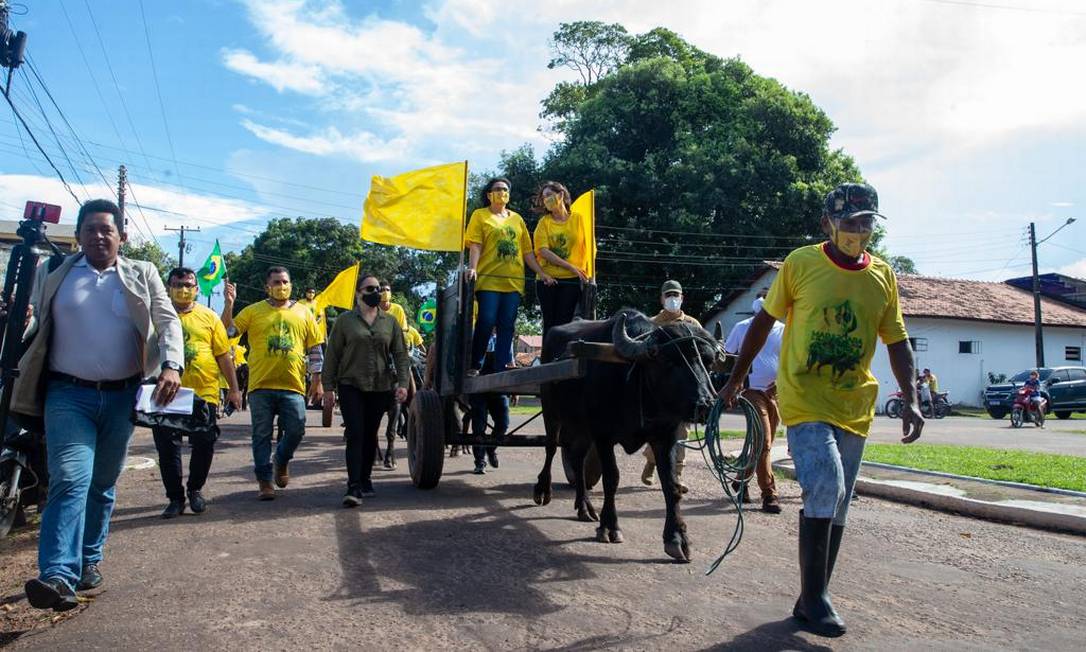 Damares Alves desfila em cima de carroça puxada por búfalos Foto: Reprodução