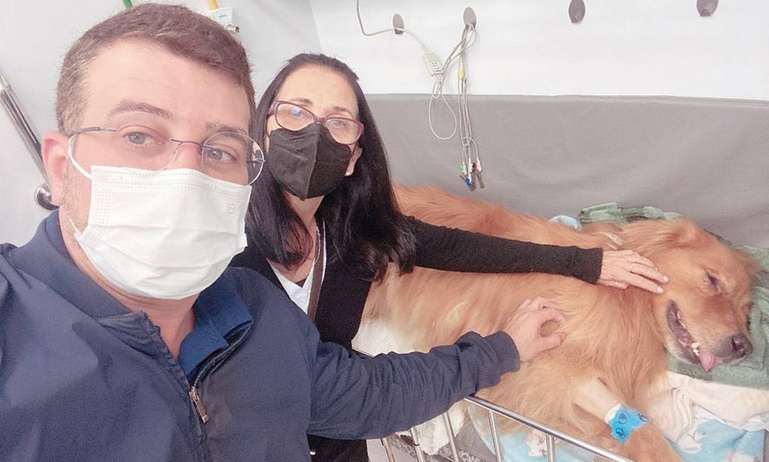 O cão de Soranz, Tom, está com meningite Foto: Reprodução/Instagram
