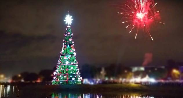 Niterói terá árvore de Natal no mar de São Francisco - Jornal O Globo