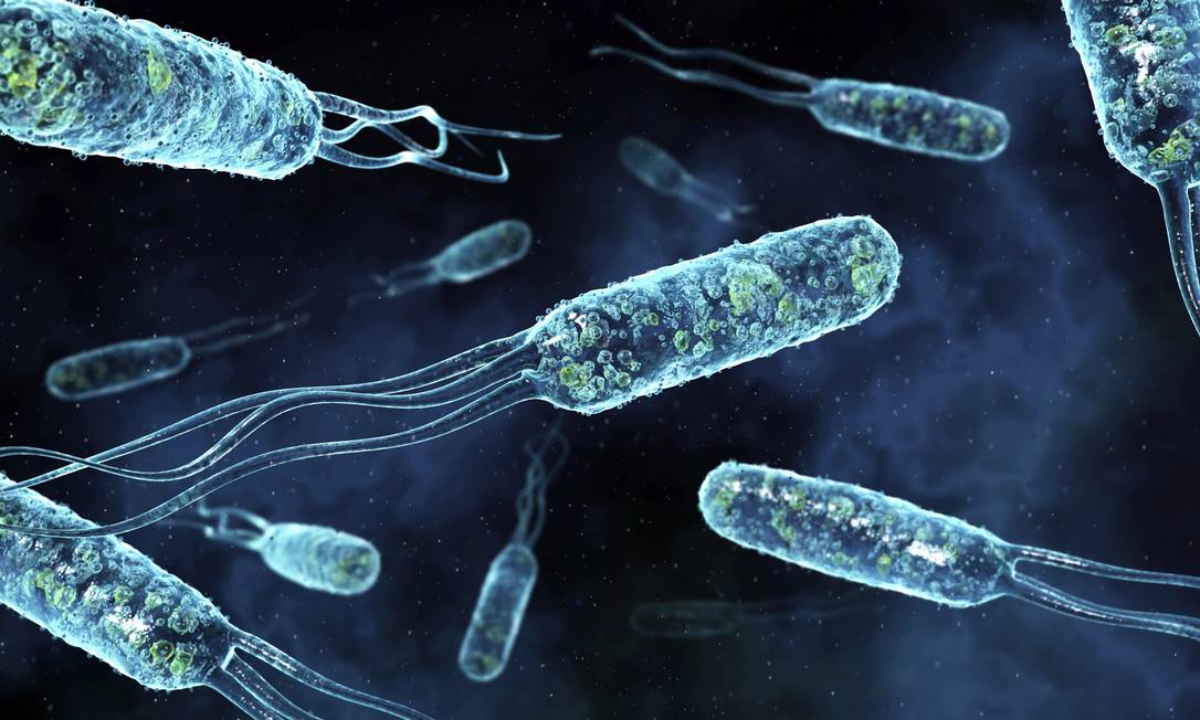 
Bactérias evoluem e se tornam resistentes a medicamentos
Foto:
/
DAVID MACK
