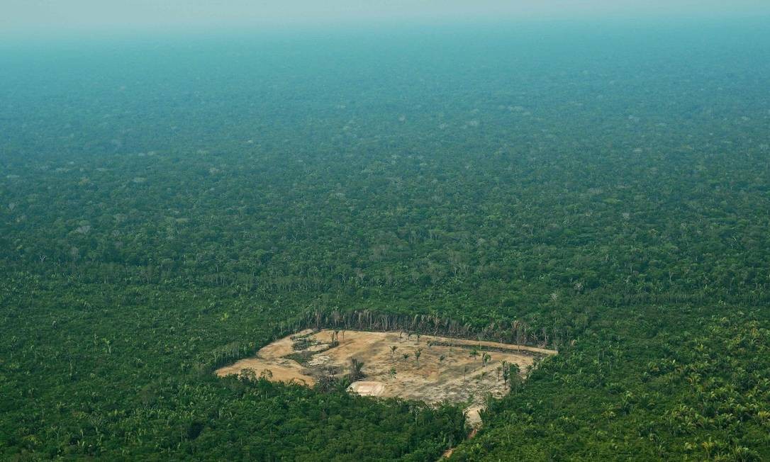 Após Inpe alertar sobre desmatamento na Amazônia, governo exonera coordenadora de monitoramento